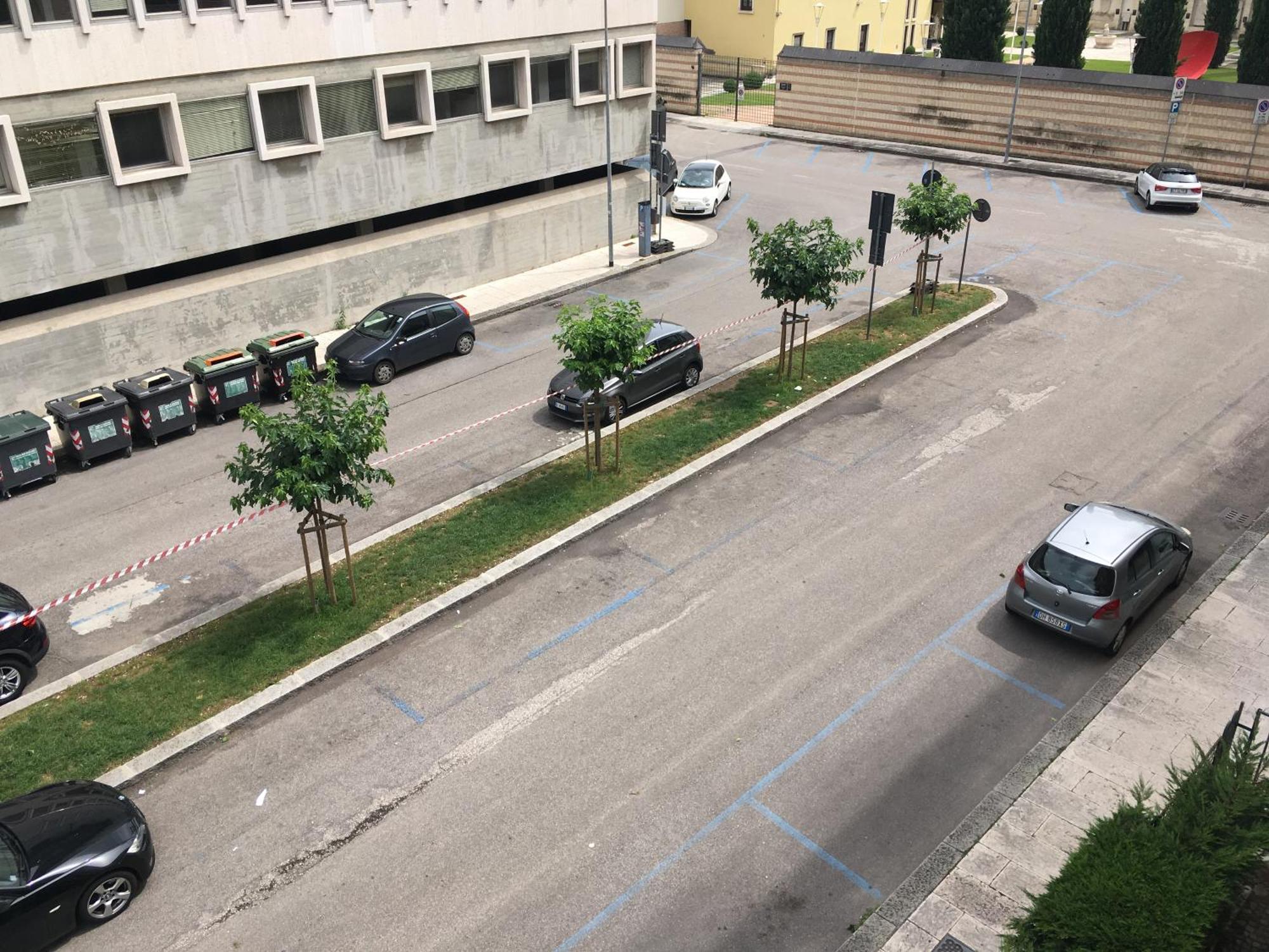 B&B Domus Fluminis, Verona
